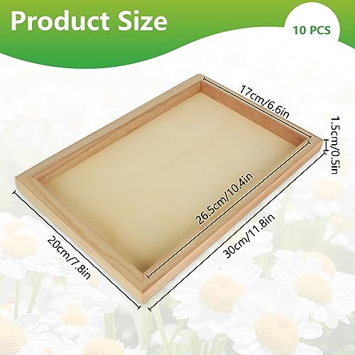 Oungy 10 Pack Wooden Panel Boards 11.8 x 7.9 Inch Unfinished Wood Canvas Panels Wood Paint Pouring Panels for Painting Pouring DIY Art Projects Arts
