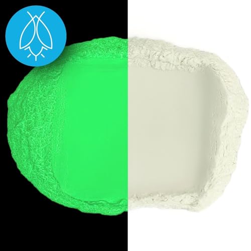 Glow in The Dark Pigment Powder - Neutral and Fluorescent Color for Art Painting, Fine Art, Nail Art Paint, and DIY Crafts - Non-Toxic, Long Lasting Art 'N Glow