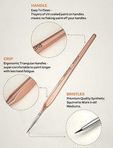 Nicpro Detail Paint Brushes 5 PCS Extra Fine Tip 000 Professional Miniature Painting Artist Set Round 3/0 for Micro Watercolor Oil Acrylic Craft Nicpro