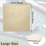 GDGDSY Basswood Sheets 12 x 12 Inch Unfinished Balsa Wood Sheets for Laser Cutting, Drawing Painting, Wood Engraving, etc.(10 PCS) GDGDSY