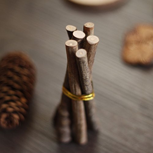 LUOEM Forest DIY Craft Ornaments for Photography Background Wood Branches Photo Props LUOEM