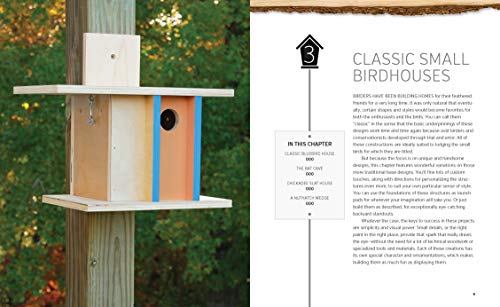 Build-It-Yourself Birdhouses: 25+ DIY Birdhouses and Bird Feeders Cool Springs Press