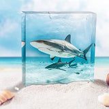 Square Silicone Molds for Resin, Large Resin Molds, Deep Resin Molds for Flowers Preservation, Epoxy Molds for Resin Casting DIY Insect Specimens Actvty