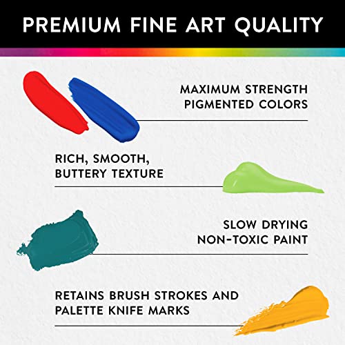 RoseArt Premium Paint Set – 12 Count Acrylic Paints for Canvas, Wood, Ceramic and Fabrics – Craft Painting Supplies for Casual to Professional - WoodArtSupply