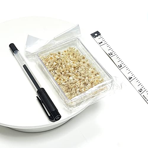 homeemoh 200 Pcs Mini Natural Dried Flowers, Small Dried Flowers Heads Natural Brazil Little Star Flowers for DIY Crafts Candle Making Epoxy homeemoh