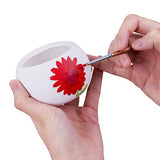 Transon Small Detail Paint Brushes 7pcs for Model Painting Acrylic, Gouache, Oil, Tempera and Face Painting TRANSON