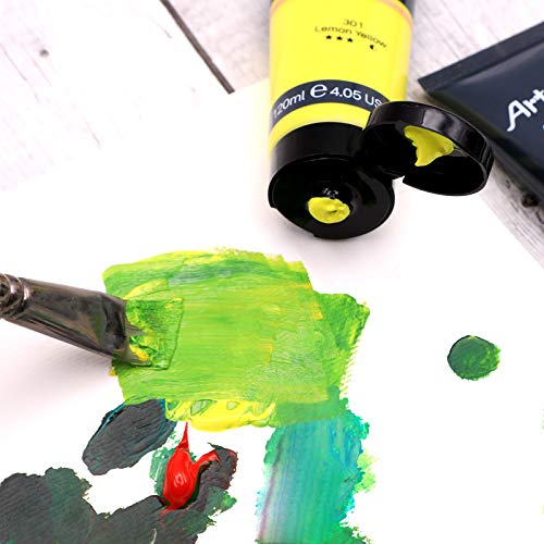 Artecho Professional Acrylic Paint, Sage Green (120ml / 4.05oz) Tubes, Art Craft Paints for Canvas, Rock, Stone, Wood, Fabric, Art Supplies for Artecho