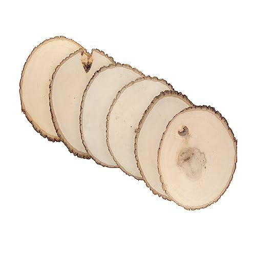 Walnut Hollow Rustic Basswood Round, Extra Large 12-14" Wide with Live Edge Wood (Pack of 6) - for Wood Burning, Home Décor, and Rustic Weddings - WoodArtSupply