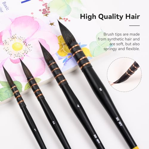 Lightwish Watercolor Brushes Set, Synthetic Squirrel Hair Paint Brushes kit  for Artists, Adults, and Hobbists, Pointed Round Mop Brush for Watercolor