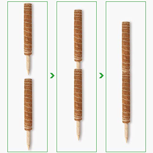 Augshy Moss Pole, 27 Inch Moss Poles - 2Pcs 17 Inch Plant Stakes Moss Sticks for Monstera Indoor Creepers Plant Support Extension Climbing Plants Augshy