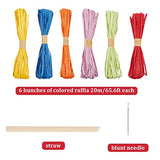 FREEBLOSS Raffia Basket Weaving Kit Introductory Weaving Kit for Beginners, Creative Raffia Basket Bowl Suitable for for Kids Arts and Crafts FREEBLOSS