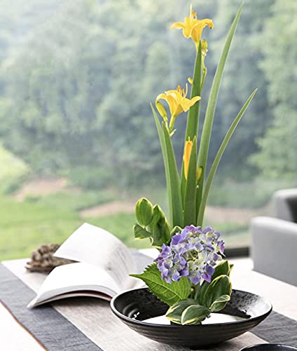 Eggone Japanese Ikebana Kit Floral Frog Flower Container with Kenzan Needle Straightening Tool - 1.57inch Black Flower Frog, 6.7inch Bowl Vase Eggone