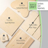 FolkArt Birds & Blossoms 2 oz One Stroke Acrylic Kit, 32 Piece Set Including 12 Multi-Surface Paints, 10 Brushes, 6 Teaching Guides, 3 Pattern Sheets FolkArt