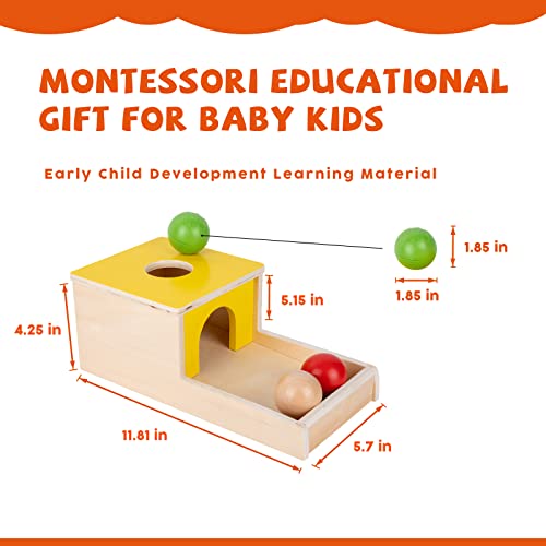 Montessori Toys for 1+ Year Old Baby Gifts,Play Kit Box Includes Carrot Harvest Games,Infant Coin Box,Fine Motor Skills Toys and Object Permanence - WoodArtSupply