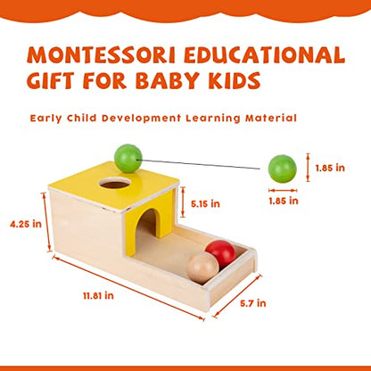 Montessori Toys for 1+ Year Old Baby Gifts,Play Kit Box Includes Carrot Harvest Games,Infant Coin Box,Fine Motor Skills Toys and Object Permanence - WoodArtSupply