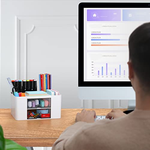 LETURE Desk Organizer with 2 Drawer, Plastic Desktop Pen Pencil Card Holder Storage Box for Desk, Office Supplies, Vanity Table Office School Home LETURE