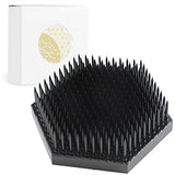 Wazakura Japanese Black Hexagon Ikebana Kenzan Flower Holder 2.6 in (68 mm), Made in Japan Floral Arranging Pin Frog Tool Wazakura