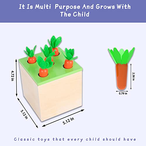 Montessori Box Play Kit, Early Child Development Learning Material for 1-3 Years Old Babies (Play Kit, 4 for 1) Tiger Montessori