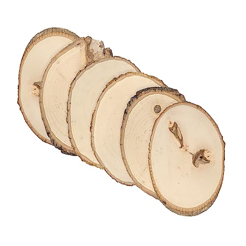 Walnut Hollow Rustic Basswood Round, Small 5-7" Wide with Live Edge Wood (Pack of 6) - for Wood Burning, Home Décor, and Rustic Weddings - WoodArtSupply