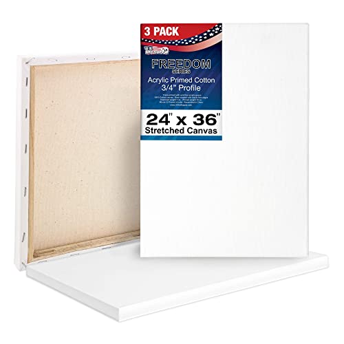 U.S. Art Supply 24 x 36 inch Stretched Canvas 12-Ounce Triple Primed, 3-Pack - Professional Artist Quality White Blank 3/4" Profile, 100% Cotton, - WoodArtSupply