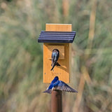 Nature's Way Bird Products CWH4 Cedar Bluebird Viewing House NATURES WAY BIRD PRODUCTS