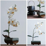 Japanese Flower Frog Ikebana Vase Kit, Ceramics Flower Container (6.7"Lx3.4"Wx2.75"H) with Rectangle Floral Frog (2.1"Lx1.4"W) and 2 in 1 Kenzan Eggone