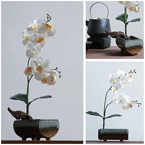 Japanese Flower Frog Ikebana Vase Kit, Ceramics Flower Container (6.7"Lx3.4"Wx2.75"H) with Rectangle Floral Frog (2.1"Lx1.4"W) and 2 in 1 Kenzan - WoodArtSupply