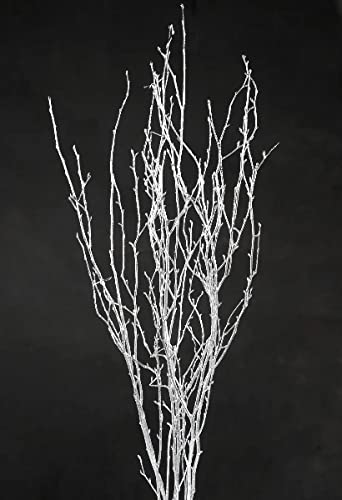 Decorative Birch Branches Decoration, 23 Inch Birch Stems for Wedding Decor,Dried Twigs for Christmas Decor (White) - WoodArtSupply