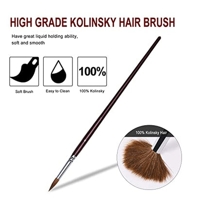 Kolinsky Watercolor Brush Set Pure Kolinsky Sable Hair Pointed Round Art Paintbrushes Premium 6 Pcs Round Tip Paint Brush Artist Acrylic Brush for - WoodArtSupply