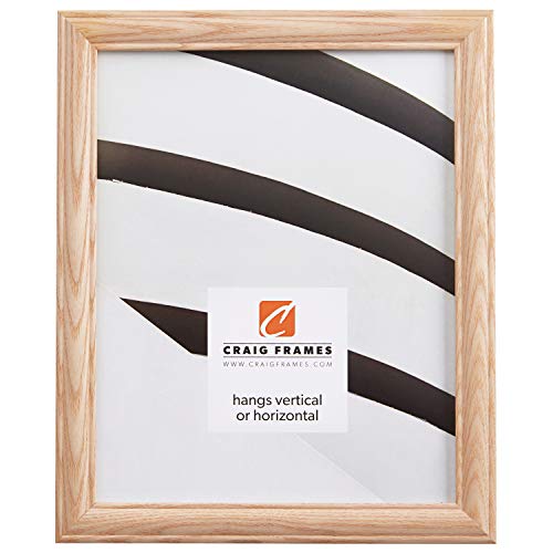 Craig Frames Wiltshire 68 Raw Empty Picture Frame, 20 by 30-Inch Ash Frame Shell, 84-Inch Wide Unfinished Hardwood Craig Frames
