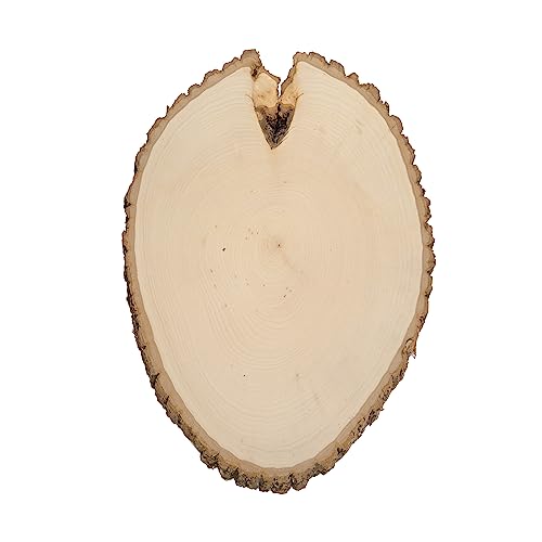 Walnut Hollow Rustic Basswood Round, Extra Large 12-14" Wide with Live Edge Wood (Pack of 6) - for Wood Burning, Home Décor, and Rustic Weddings - WoodArtSupply