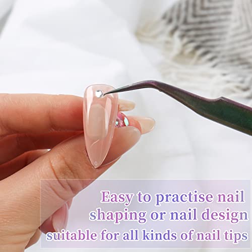 BQAN 2 Set Nail Holder for Painting Nails, Aurora Acrylic Nail Stand for Press on / Fake Nail Tips Training / Nails Display with 96 Pcs Reusable BQAN