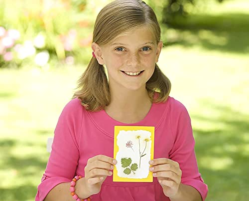 4M Green Creativity Pressed Flower Art Kit, Recycle Flowers Art & Crafts DIY Kit, For Boys & Girls Ages 5+ 4M