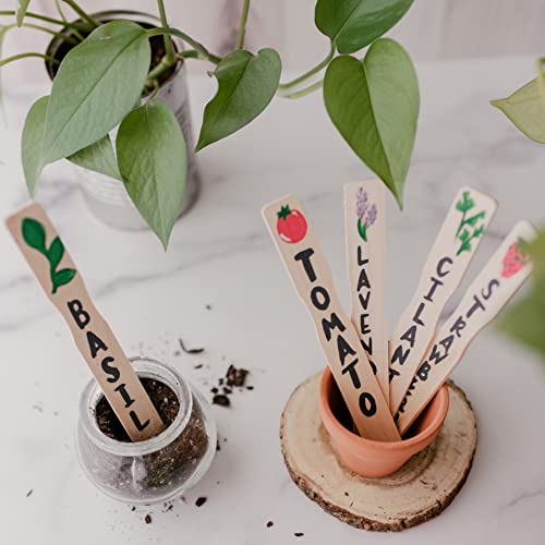 12 Inch Paint Sticks, Box of 25 Hardwood Paint Stirrers, Wood Mixing Paddles for Epoxy or Resin, Garden or Library Markers by Woodpeckers - WoodArtSupply