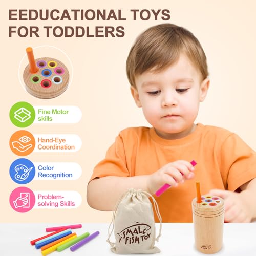 Montessori Toys for 1-3 Year Old: Wooden Learning Color Sorting