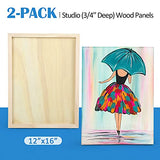 Unfinished Birch Wood Canvas Panels Kit, Falling in Art 2 Pack of 12x16’’ Studio 3/4’’ Deep Cradle Boards for Pouring Art, Crafts, Painting, and More Falling in Art