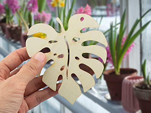 Summer-Ray 20 Wooden Monstera Leaves Laser Cutout DIY Craft Party Decoration Art Embellishment Room Decoration Summer-Ray.com