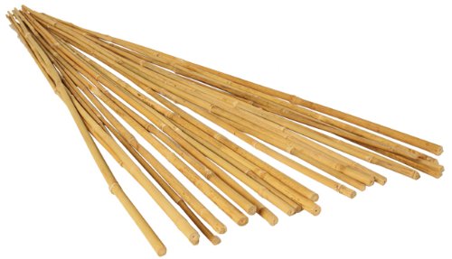 Hydrofarm HGBB6 6' Natural, pack of 25 Bamboo Stake, Tan Hydrofarm