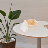 TEHAUX Wooden Crates Unfinished Unfinished Wood Boxes, 12 * 12 * 8cm Wooden Box Case Collectible Crafts Jewelry Storage Organizer with Clear Lid for TEHAUX