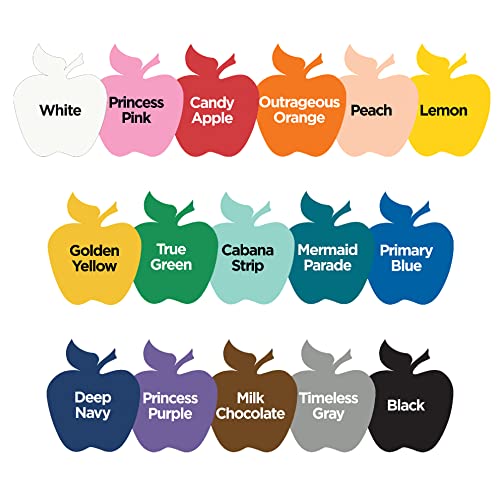 Apple Barrel Multi PROMOABMPO22, 21 Piece DIY Set Featuring 16 Surface Paints, 1 Mod Podge Outdoor Acrylic Sealer and 4 Foam Brushes, Large Apple Barrel