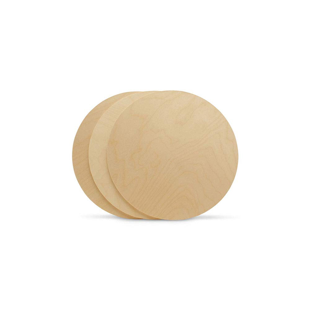 Wood Circles 8 inch, 1/4 Inch Thick, Birch Plywood Discs, Pack of 10 Unfinished Wood Circles for Crafts, Wood Rounds by Woodpeckers Woodpeckers