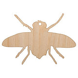 Fly Insect Sketch Unfinished Craft Wood Holiday Christmas Tree DIY Pre-Drilled Ornament Sniggle Sloth