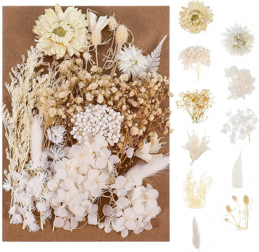 Real Dried Flowers, Natural Dried Flowers Mixed, Hydrangeas, Daisies, Natural Pressed Flowers White Decorative Dried Flowers for DIY Candle Resin Jewelry Nail Pendant Crafts Making( Beige) - WoodArtSupply