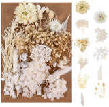 Real Dried Flowers, Natural Dried Flowers Mixed, Hydrangeas, Daisies, Natural Pressed Flowers White Decorative Dried Flowers for DIY Candle Resin WoodArtSupply