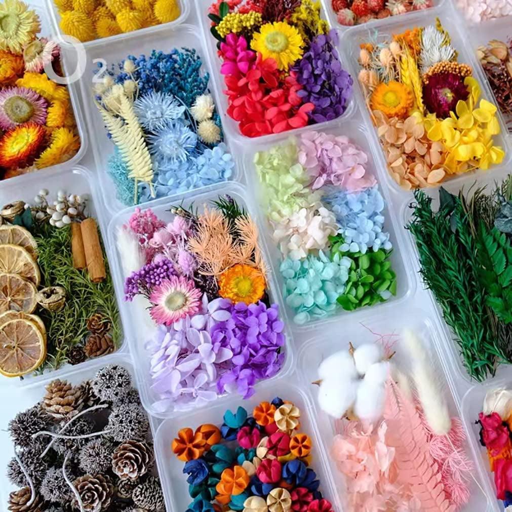 Dried Flowers for Resin Jewelry Molds with Tweezers, Real Pressed Dry Flower Leaves Mixed Multiple Colorful, for DIY Crafts Nail Art Candle Soap Making Phone Case Jewelry Pendant Floral Decors - WoodArtSupply