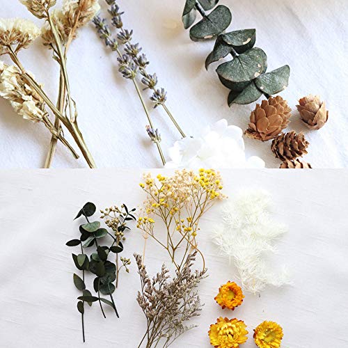 SANGDA Dry Plants for Aromatherapy Candle, 4 Box Premium Dried Pressed Leaves and Flowers Handmade DIY Dried Flowers for Resin Jewelry Pendant Crafts - WoodArtSupply