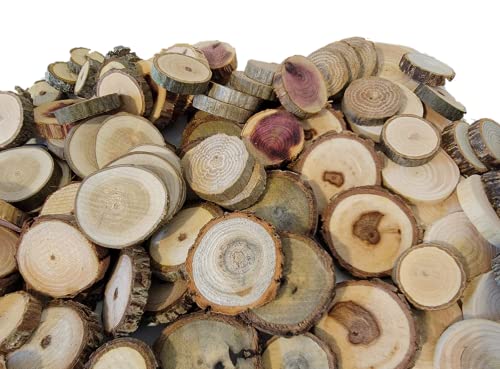 Wood Slice Variety Pack, 1" - 3", Qty of 50 - Live Edge Walnut, Red Cedar, Maple, Oak, Coasters, Craft Wood, Wood Burning, Epoxy Resin Projects, SHUIKU