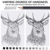MARKART Professional Drawing Sketching Pencil Set - 14 Pieces,Graphite,(12B - 4H), Ideal for Drawing Art, Sketching, Shading, Artist Pencils for MARKART