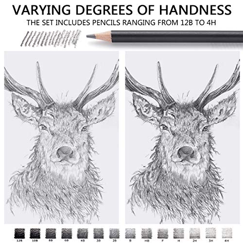 MARKART Professional Drawing Sketching Pencil Set - 14 Pieces,Graphite,(12B - 4H), Ideal for Drawing Art, Sketching, Shading, Artist Pencils for - WoodArtSupply