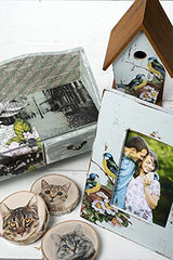 Mod Podge Photo Transfer Medium (8-Ounce), CS15067 Mod Podge